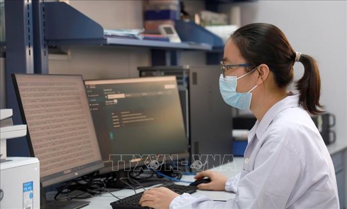 Nghiên cứu viên Viện Pasteur Nha Trang ứng dụng thiết bị hiện đại để giải trình tự gen vi rút. Ảnh: Xuân Triệu/TTXVN