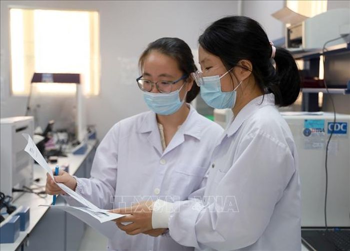Nghiên cứu viên Viện Pasteur Nha Trang thực hiện quy trình xét nghiệm và phân lập vi rút. Ảnh: Xuân Triệu/TTXVN