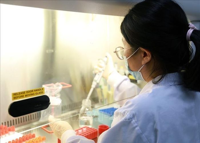 Nghiên cứu viên Viện Pasteur Nha Trang thực hiện quy trình xét nghiệm và phân lập vi rút. Ảnh: Xuân Triệu/TTXVN
