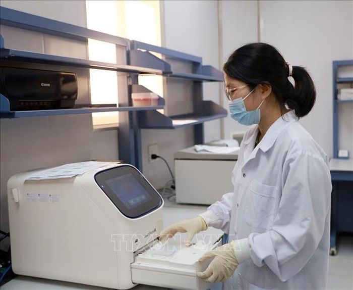 Nghiên cứu viên Viện Pasteur Nha Trang thực hiện quy trình xét nghiệm và phân lập vi rút. Ảnh: Xuân Triệu/TTXVN