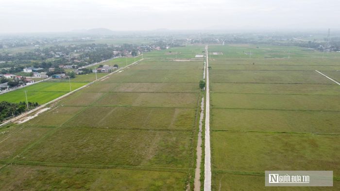 Dự án chậm triển khai khiến đất đai có nguy cơ lãng phí.