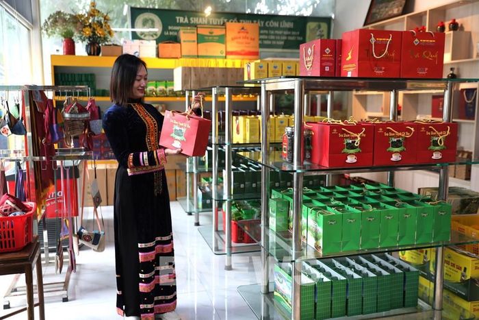 Sản phẩm OCOP Tuyên Quang đa dạng mẫu mã, được người tiêu dùng tin chọn. Ảnh: Minh Tâm-TTXVN