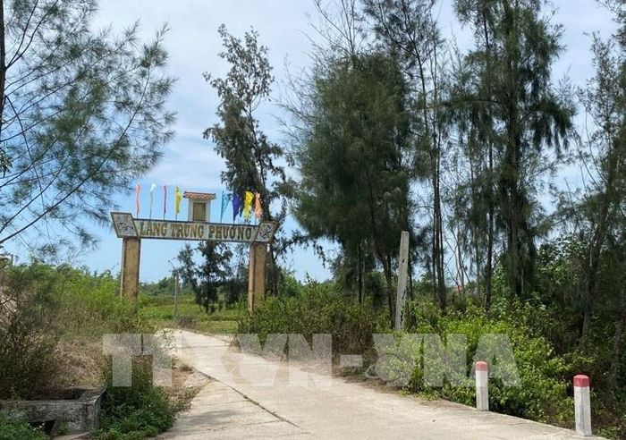 Đường vào làng Trung Phường (xã Duy Nghĩa, thành phố Đà Nẵng). Ảnh: Quốc Dũng - TTXVN