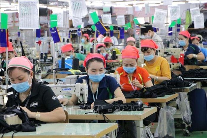 Trong năm 2026, Vinatex đặt mục tiêu kiểm soát tỷ lệ biến động lao động không vượt quá 15%. Ảnh: Công Phong/TTXVN