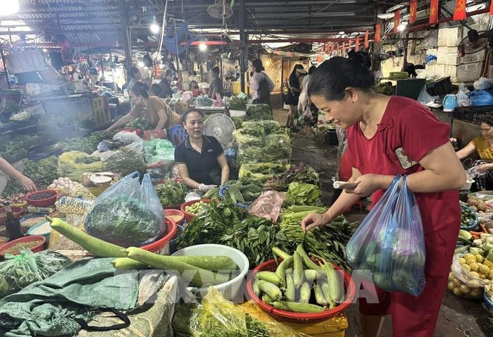 Người tiêu dùng chọn mua rau xanh. Ảnh: Quốc Lũy - TTXVN