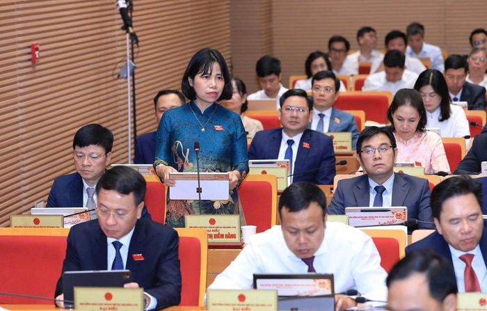 Đại biểu Nguyễn Thị Diễm Hằng (Tổ đại biểu số 12) chất vấn. Ảnh: Thành Thái