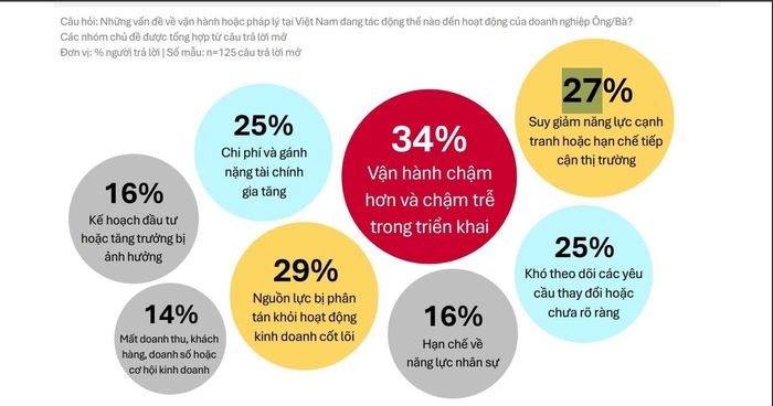 Tác động tiêu cực từ rào cản phi thuế quan và thủ tục hành chính.