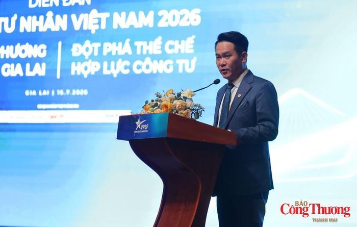 Chủ tịch Hội Doanh nhân trẻ Việt Nam Đặng Hồng Anh phát biểu khai mạc. 