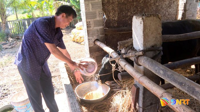 Nguồn vốn tín dụng chính sách giúp nhiều hộ nông dân xã Chiên Đàn đầu tư chăn nuôi, phát triển kinh tế. Ảnh: LAM KHUÊ