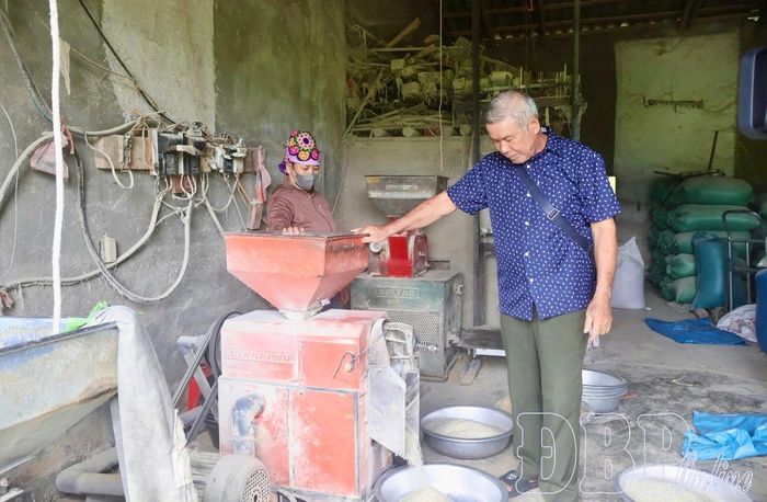 Mô hình kinh tế tổng hợp của cựu thanh niên xung phong Tòng Văn Pản, bản Noong Hẹt, xã Thanh An, cho thu nhập 100 triệu đồng/năm. Trong ảnh: Ông Tòng Văn Pản xát thóc cho người dân. 