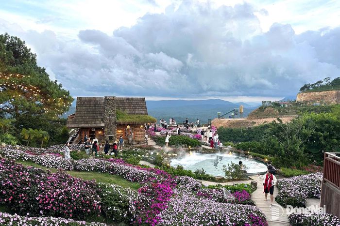 Đoàn khảo sát các điểm đến nổi tiếng tại khu vực Đà Lạt, tỉnh Lâm Đồng. Ảnh: Ngọc Liên