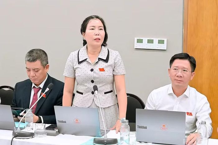  Đại biểu Trần Thị Như Hoa - Bí thư Đảng ủy, Chủ tịch HĐND phường Quy Nhơn Bắc nêu thực trạng: Đối với cùng 1 dự án, giá đất ở các thời điểm triển khai khác nhau có sự chênh lệch, dẫn đến nhiều khó khăn trong quá trình thực hiện. Ảnh: Đức Thụy 