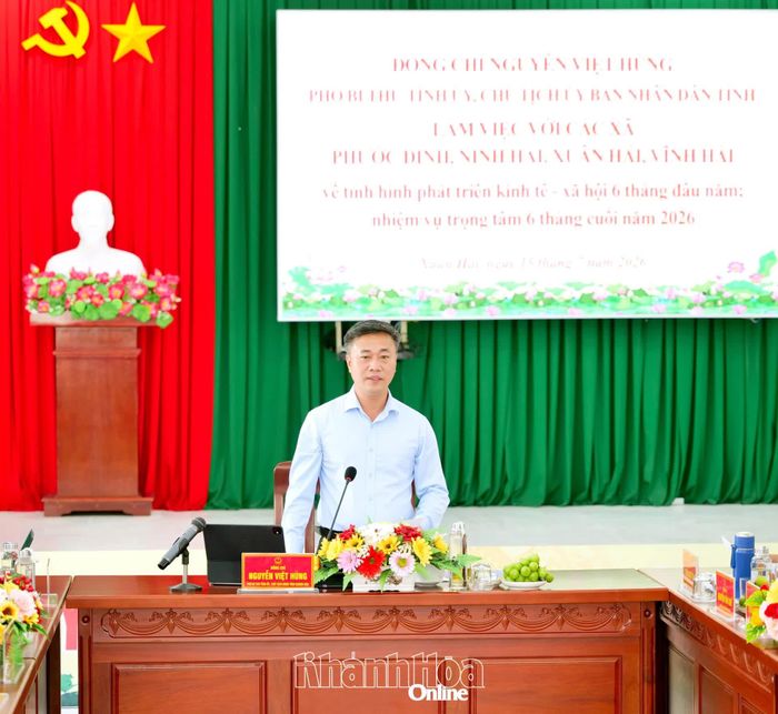 Chủ tịch UBND tỉnh Nguyễn Việt Hùng phát biểu tại buổi làm việc.