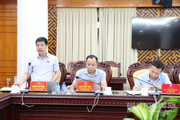 Đại biểu Quốc hội tỉnh phát biểu ý kiến tại chương trình làm việc