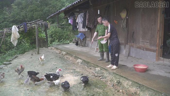 Cán bộ, chiến sĩ Công an xã Chế Tạo luôn gần gũi động viên anh Giàng A Chinh tập trung phát triển kinh tế, tránh xa ma túy.