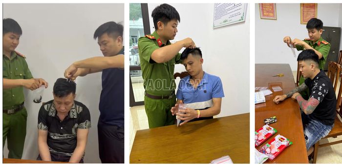 Tiến hành thu mẫu nang tóc của các đối tượng để trưng cầu giám định, phục vụ điều tra vụ án.