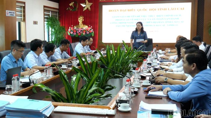 Đồng chí Giàng Thị Dung - Phó Bí thư Tỉnh ủy, Trưởng Đoàn đại biểu Quốc hội tỉnh phát biểu tại buổi làm việc.