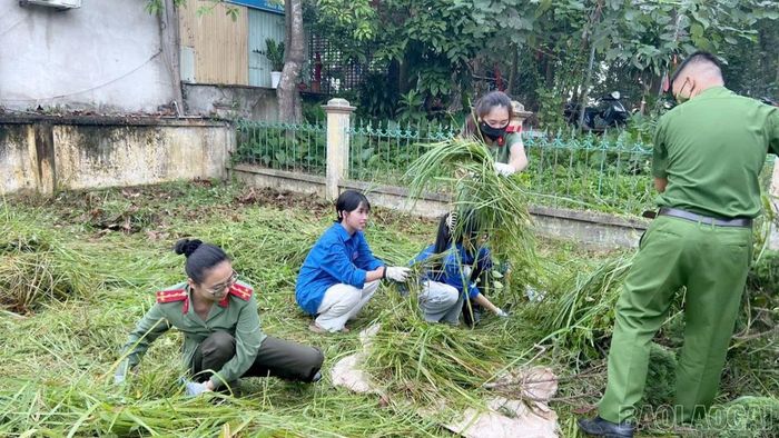 Đoàn Thanh niên phối hợp với Công an, Ủy ban MTTQ Việt Nam, các tổ chức đoàn thể và tổ dân phố phường Âu Lâu ra quân tổng vệ sinh, chỉnh trang các khu tưởng niệm liệt sĩ.