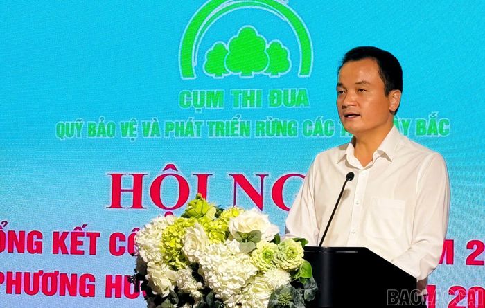 Đồng chí Giàng Quốc Hưng - Phó Chủ tịch UBND tỉnh, Chủ tịch Hội đồng Quản lý Quỹ Bảo vệ rừng và Môi trường tỉnh Lào Cai phát biểu tại hội nghị.