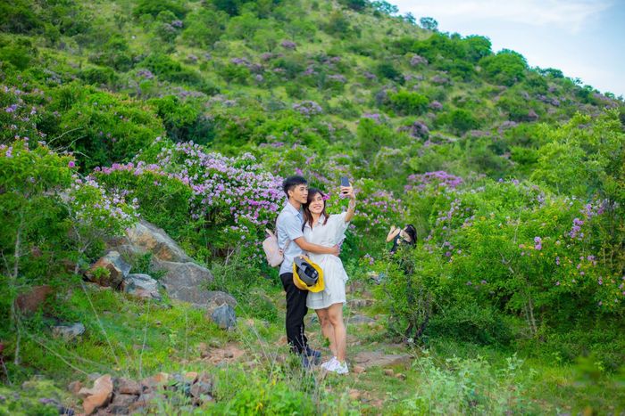 Du khách vô tình đi ngang đều dừng lại ngắm nghía, chụp hình làm kỷ niệm.