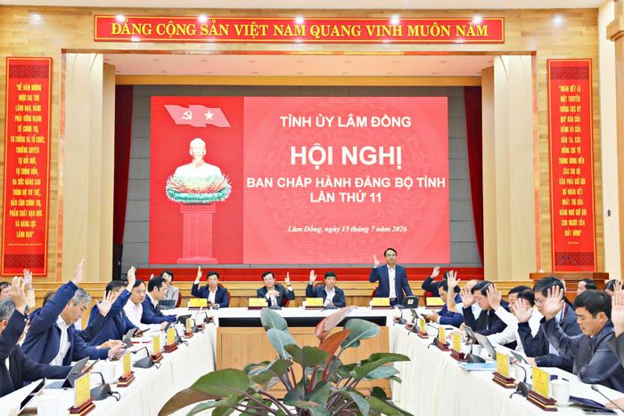 Các đại biểu biểu quyết thông qua các tờ trình của Ban Thường vụ Tỉnh ủy