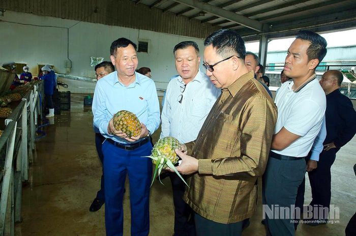 Chủ tịch Hội đồng quản trị Công ty Cổ phần Thực phẩm xuất khẩu Đồng Giao giới thiệu với Bộ trưởng Bộ Nông nghiệp và Môi trường Lào về quy trình liên kết sản xuất của Công ty.