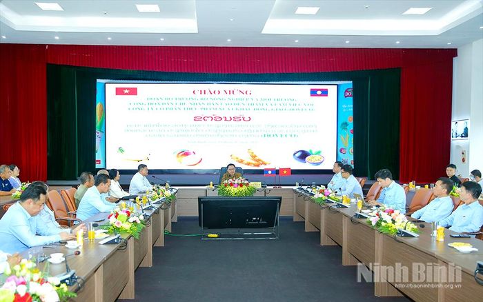 Quang cảnh buổi làm việc.