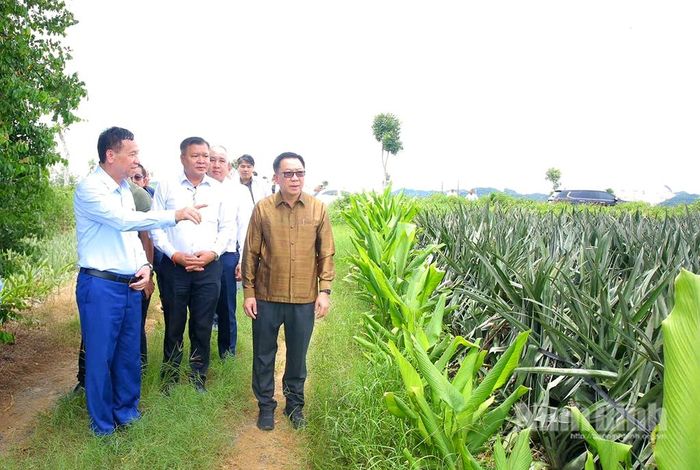 Đồng chí Bộ trưởng Bộ Nông nghiệp và Môi trường Lào và Đoàn công tác tham quan vùng trồng nguyên liệu của DOVECO.