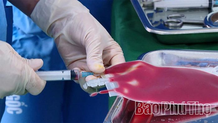 Tế bào gốc được bảo quản và ghép cho bệnh nhân nữ 54 tuổi quê tỉnh Thanh Hóa.