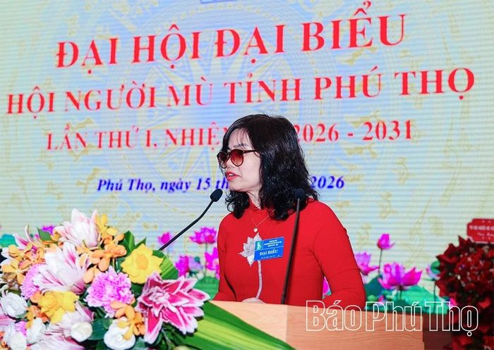 Đồng chí Phó Chủ tịch Hội Người mù Việt Nam Đinh Việt Anh phát biểu tại Đại hội.
