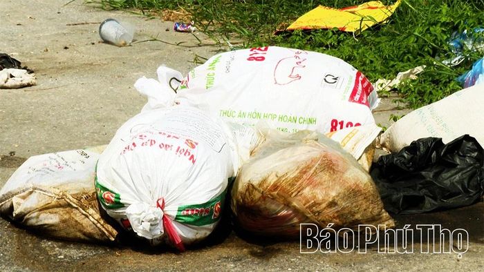Nhiều túi rác thải sinh hoạt đã phân hủy, nước rỉ chảy ra ngoài, gây ô nhiễm môi trường.
