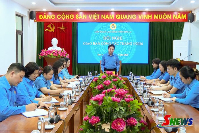 Liên đoàn Lao động tỉnh triển khai các giải pháp phát triển đoàn viên, mở rộng tổ chức công đoàn.