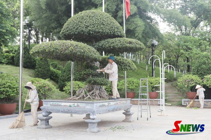 Công nhân Xí nghiệp Cây xanh chăm sóc cây cảnh tại Quảng trường Tây Bắc.