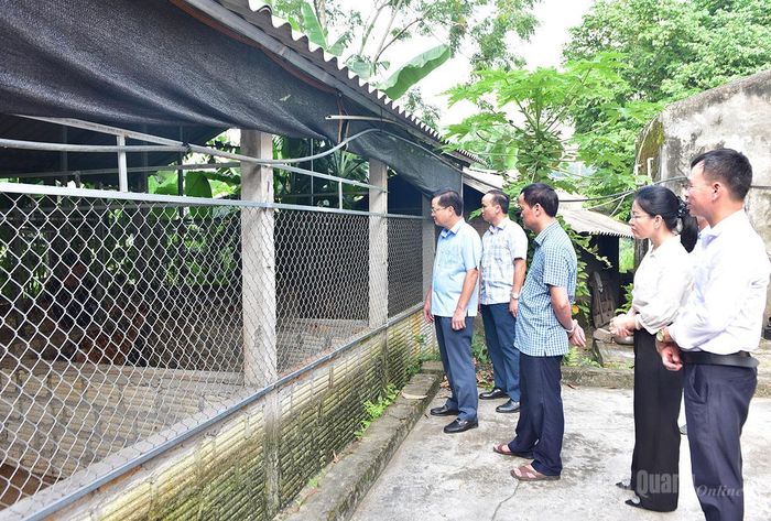 Trưởng Ban Tổ chức Tỉnh ủy Trần Quang Minh cùng các đại biểu tham quan mô hình nuôi hươu của hộ anh Âu Dương Phong, thôn Đá Trơn, xã Đông Thọ.