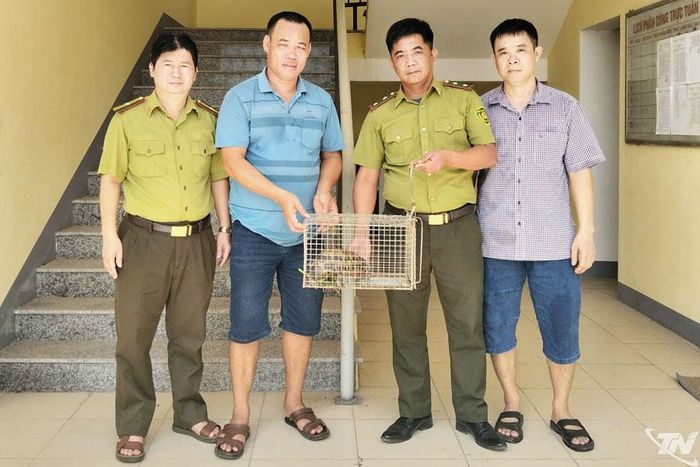 Anh Trần Văn Khương (thứ 2 từ trái sang) bàn giao rùa núi vàng cho đại diện Hạt Kiểm lâm số 17.