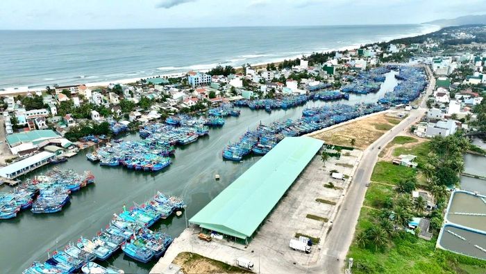 UBND các xã, phường ven biển phải chịu trách nhiệm trực tiếp, toàn diện về quản lý tàu cá không đủ điều kiện trên địa bàn.