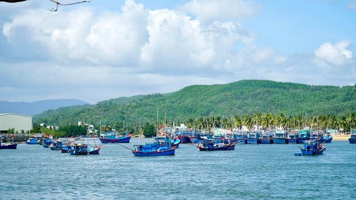 Những tàu cá không đủ điều kiện hoạt động khai thác thủy sản trên địa bàn tỉnh Gia Lai sẽ được quản lý đặc biệt, lập hồ sơ riêng và giám sát chặt chẽ.