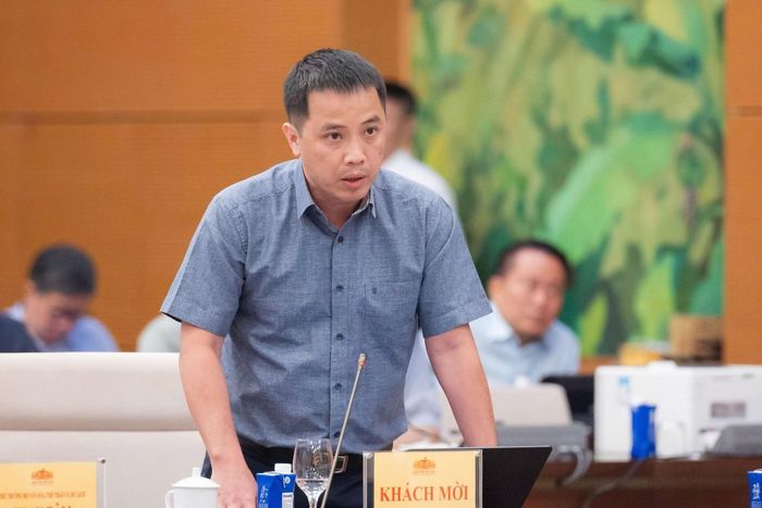 Phó Tổng Thư ký Liên đoàn Thương mại và Công nghiệp Việt Nam (VCCI) Đậu Anh Tuấn phát biểu.