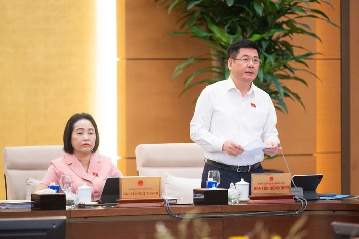 Phó Chủ tịch Quốc hội Nguyễn Hồng Diên phát biểu tại phiên họp.