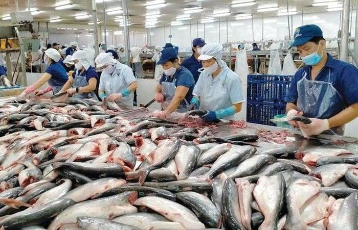 Xuất khẩu thủy sản tăng trưởng hai con số nhưng thách thức vẫn bủa vây.