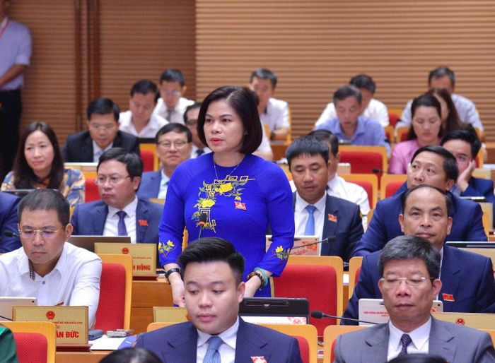 Đại biểu Hoàng Thị Tú Anh chất vấn tại kỳ họp. Ảnh: Thành Thái