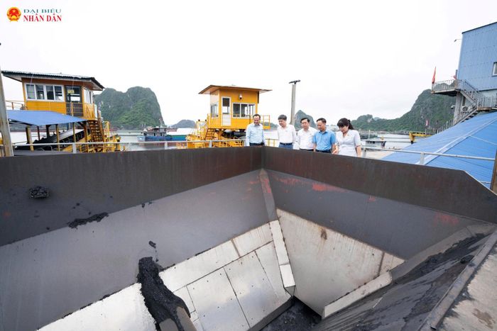 Đoàn Công tác khảo sát Kho cảng Km6 của Công ty Kho vận và Cảng Cẩm Phả