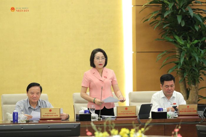 Phó Chủ tịch Quốc hội Nguyễn Thị Thanh điều hành phiên họp