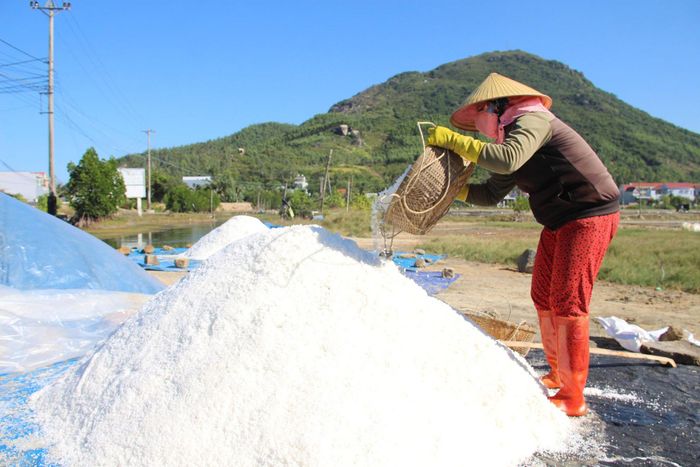 Lượng muối còn tồn trong dân ở Gia Lai lên đến hơn 7.500 tấn