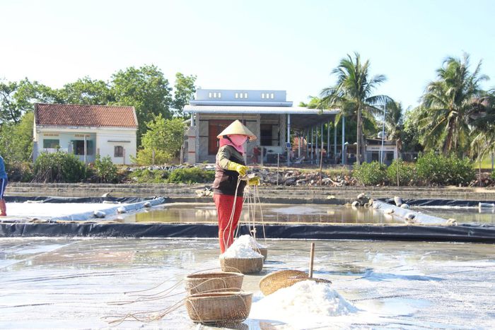 Lao động sản xuất muối ở Gia Lai đang có xu hướng giảm do chuyển đổi ngành nghề khác