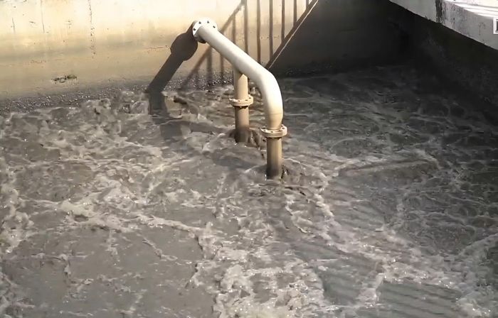 Nước thải được thu gom xử lý tại nhà máy.
