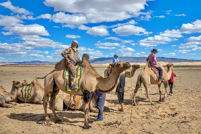 Du khách cưỡi lạc đà xuyên qua sa mạc Gobi của Mông Cổ. Biến đổi khí hậu đã kéo dài mùa du lịch của đất nước được mệnh danh là "Vùng đất của bầu trời xanh vĩnh cửu"này. Ảnh: Getty