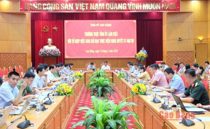Các đại biểu tham dự buổi làm việc.
