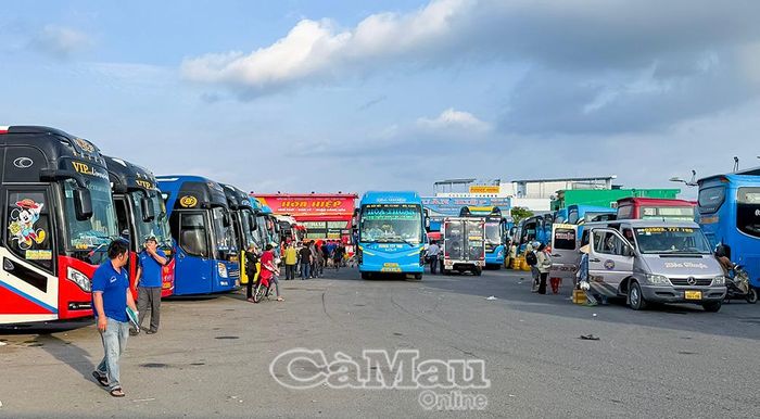 Phương tiện vận tải hành khách, hàng hóa tại Bến xe Cà Mau.