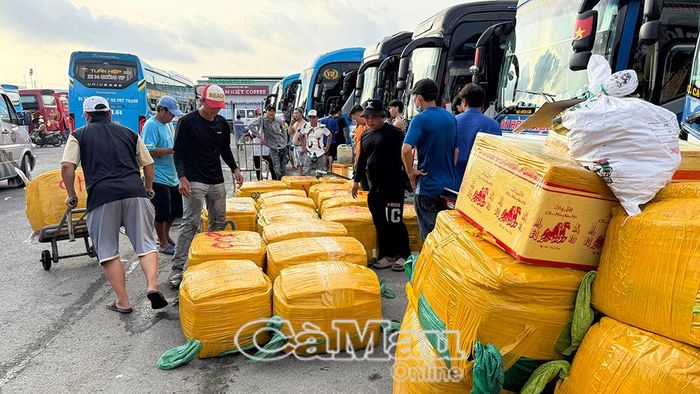 Quy định bãi bỏ thời gian tối đa lái xe trong ngày, tuần được đánh giá là sẽ tạo điều kiện thuận lợi cho tài xế lẫn các doanh nghiệp kinh doanh vận tải hành khách, hàng hóa.